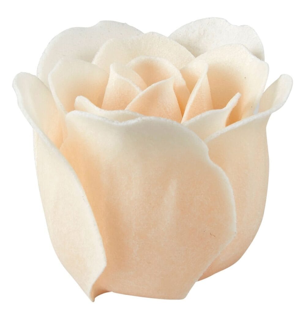 Scatola da 12 rose con petali di sapone bianco e rosa Mathilde M. - immagine 5