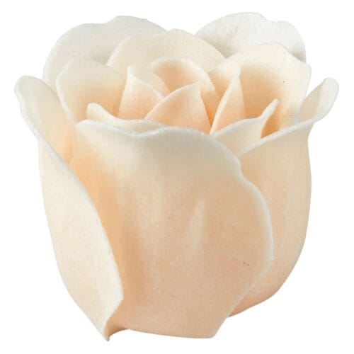 Scatola da 12 rose in fogli di sapone bianco e Rosa 2