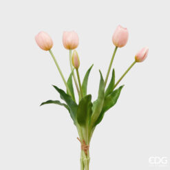 bouquet di tulipani rosa cirpia EDG