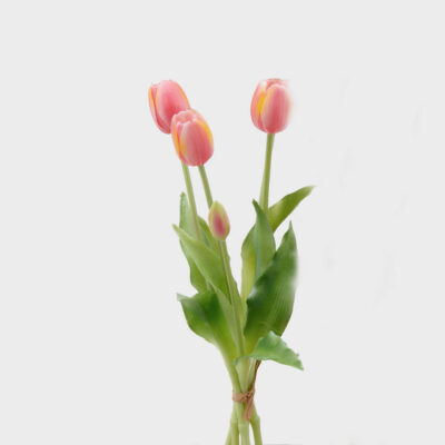 Bouquet 5 Tulipes Olis Rose H 40 cm