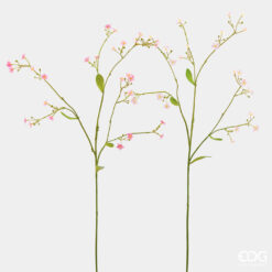 rami di fiori gipsofila rosa EDG