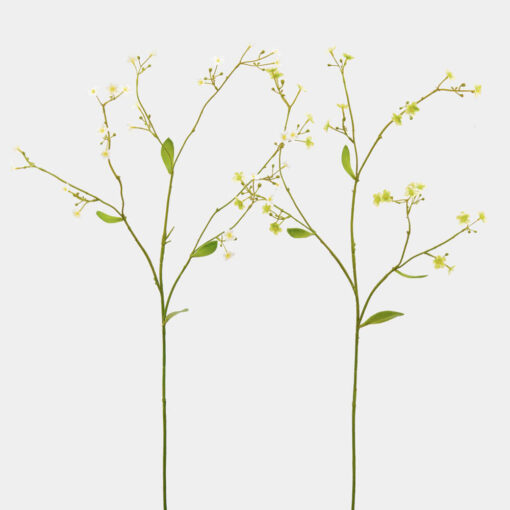 rami di fiori gipsofila gialli e bianchi EDG