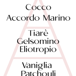 piramide olfattiva Mathilde M