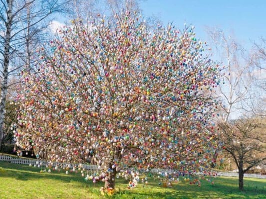 albero Volker Kraft