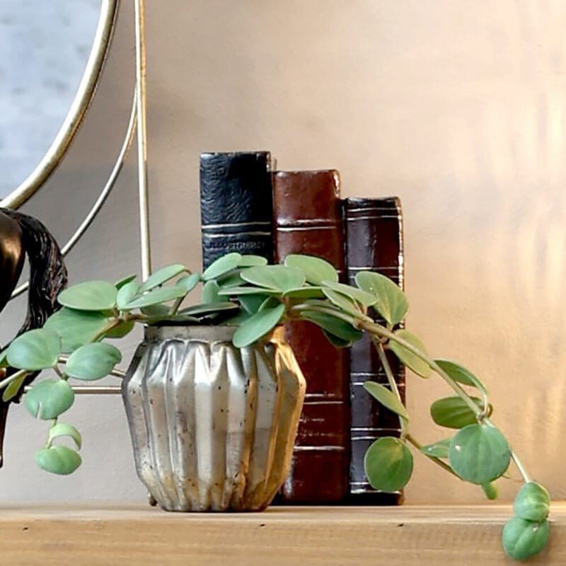 Libri Decorativi 8 Per La Decorazione Della Casa, Libri Falsi - 10