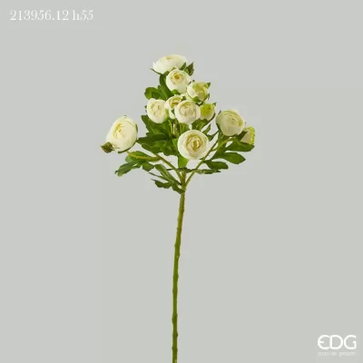 Renoncules roses ivoire EDG H 55 cm