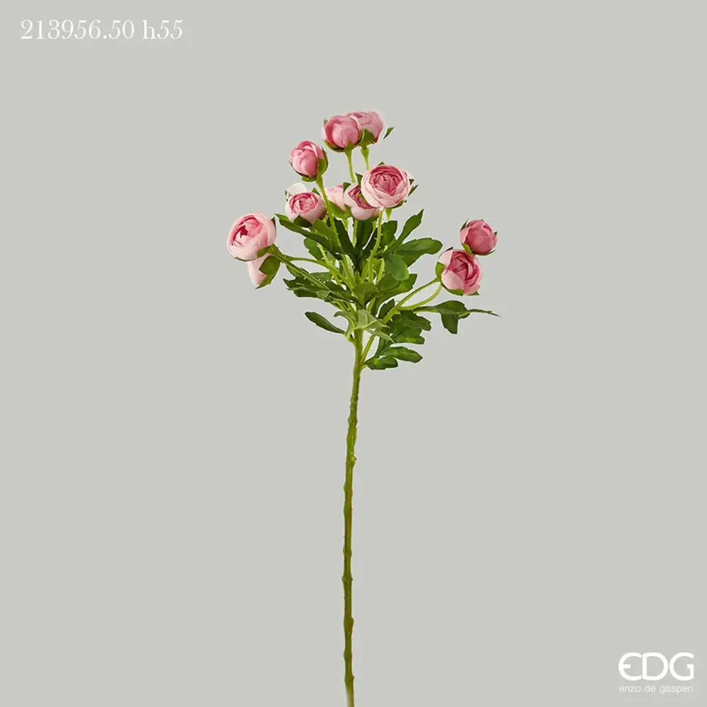 Renoncule rose EDG H 55 cm