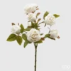 Bouquet de 7 roses ivoire EDG H 55 cm