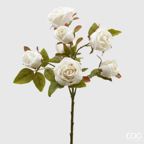 Bouquet de 7 roses ivoire EDG H 55 cm