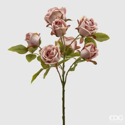 Ramo 7 rosas malva EDG H 55 cm