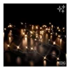 EDG 1000 luci a LED bianco caldo 50 metri