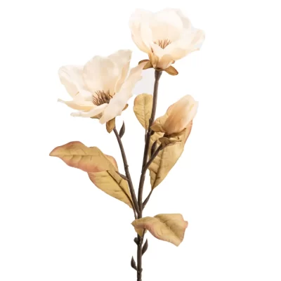 Branche de magnolia avec feuilles h 80 cm