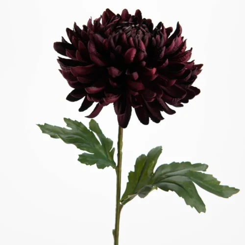 Tige de chrysanthème bordeaux h 60 cm