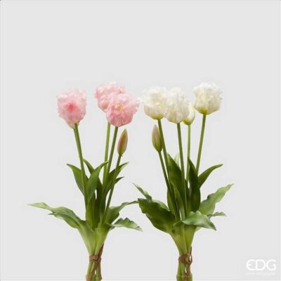 EDG Bouquet 5 Tulipani Olis aperti H 40 cm