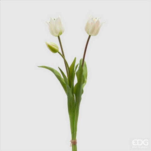 EDG Bouquet 3 tulipes blanches ouvertes H 48 cm