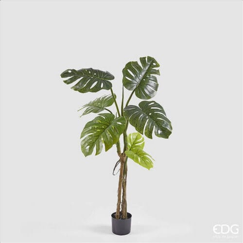 EDG Pianta artificiale Monstera Slim con vaso H 130 cm 8 foglie