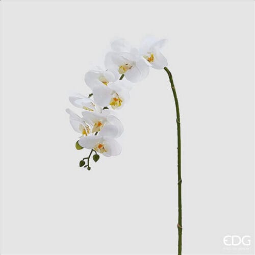 EDG Branche d'orchidée blanche Real Touch 76 cm