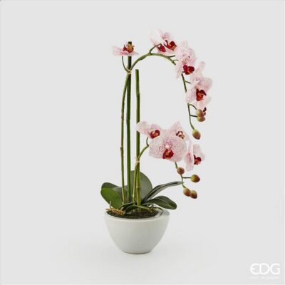 EDG Orchidea artificiale rosa in vaso H 50 cm