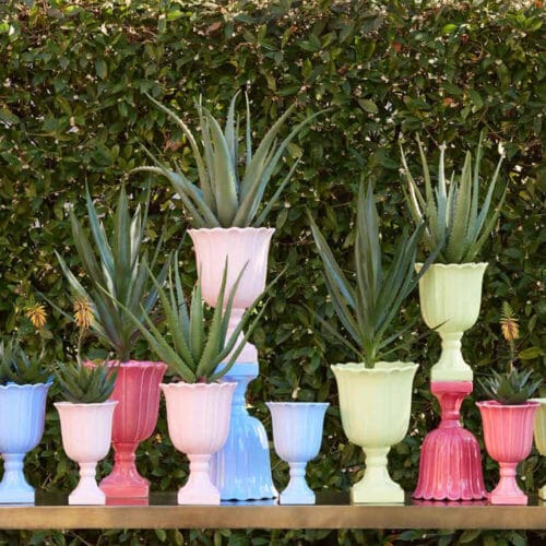 aloe artificiali