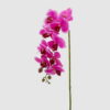 EDG Branche d'orchidée fuchsia Real touch 76 cm