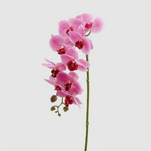 EDG Branche d'orchidée rose Real touch 76 cm