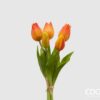 EDG Bouquet 5 Olis Tulipes Orange H 26 cm