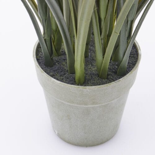 EDG Pianta artificiale Festuca con 7 spighe H 100 cm 2