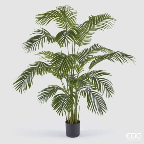 EDG Palma Areca con vaso H 170 cm