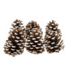 Confezione di 6 pigne decorative grandi con punte innevate, dimensioni 16x16x18 cm.