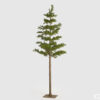 Albero di Pino West con tronco lungo EDG, altezza 216 cm, decorazione interna.