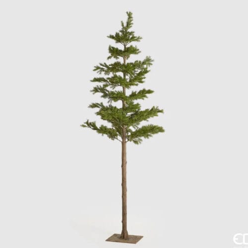 Albero di Pino West con tronco lungo EDG, altezza 216 cm, decorazione interna.