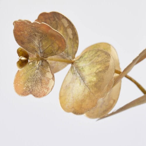 Alternative view of Branche d'Eucalyptus doré EDG h 89 cm