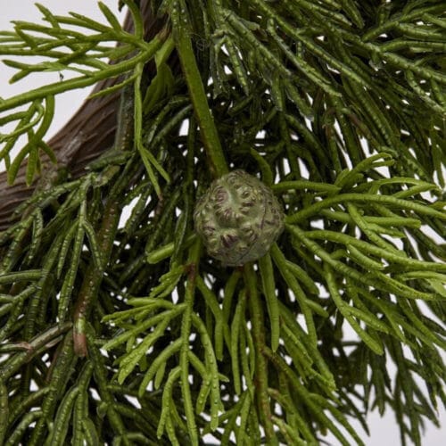 Enzo De Gasperi Corona de Thuja con Bayas Ø 50 cm - Imagen 3