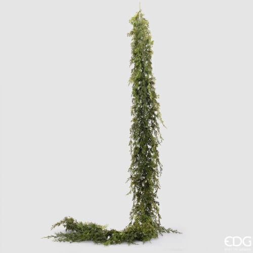 Thuja Festone con Bacche di Enzo De Gasperi - Festone lungo 195 cm con bacche