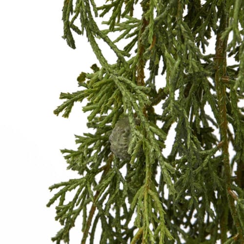  Dettaglio del Thuja Festone con Bacche di Enzo De Gasperi - Ramo con bacche