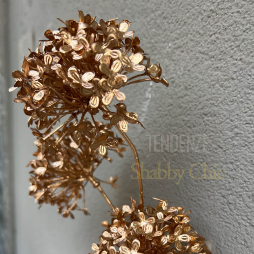 dettaglio fiore viburno edg