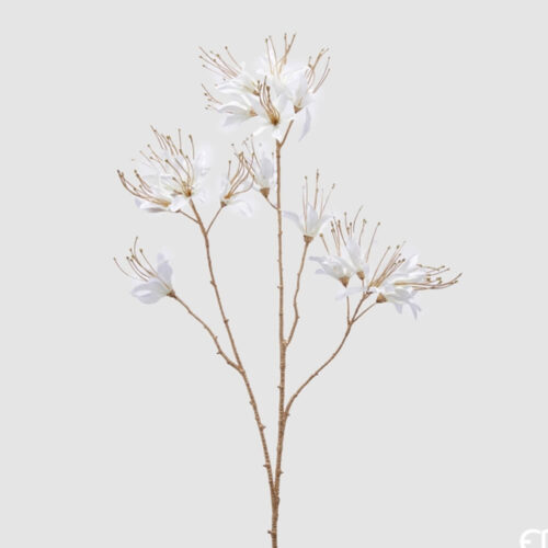 EDG Branche Nerina à 5 fleurs H 75 cm