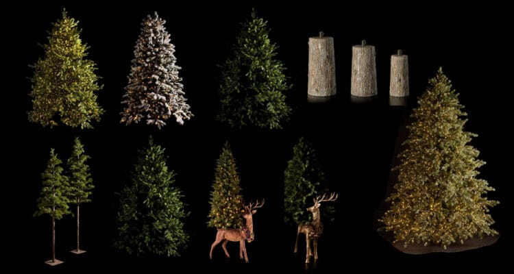 scegliere un albero edg