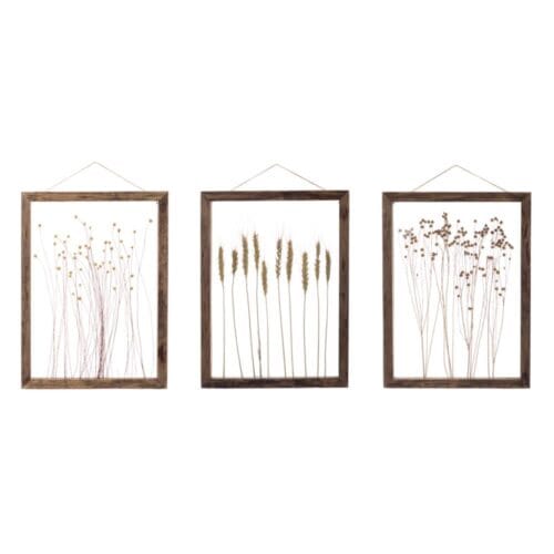 Quadro con cornice in legno scuro e fiori secchi incorniciati su sfondo trasparente.