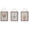 Quadro decorativo con vetro bombato, cornice in legno e fiori secchi naturali.