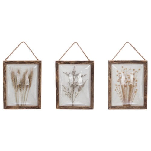 Quadro decorativo con vetro bombato, cornice in legno e fiori secchi naturali.