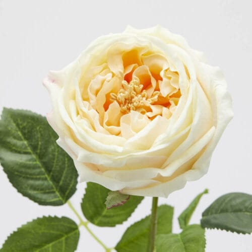 Alternative view of EDG Rose Elide Branche avec Feuilles H 45 cm