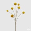 Ramo decorativo Craspedia con 7 sfere dorate su steli sottili, altezza 65 cm, ideale per decorazioni moderne.