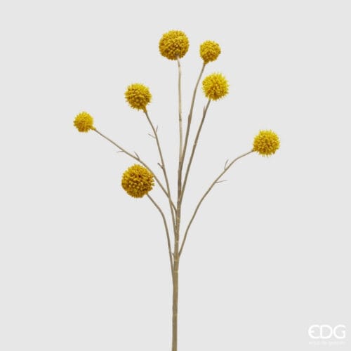 Ramo decorativo Craspedia con 7 sfere dorate su steli sottili, altezza 65 cm, ideale per decorazioni moderne.