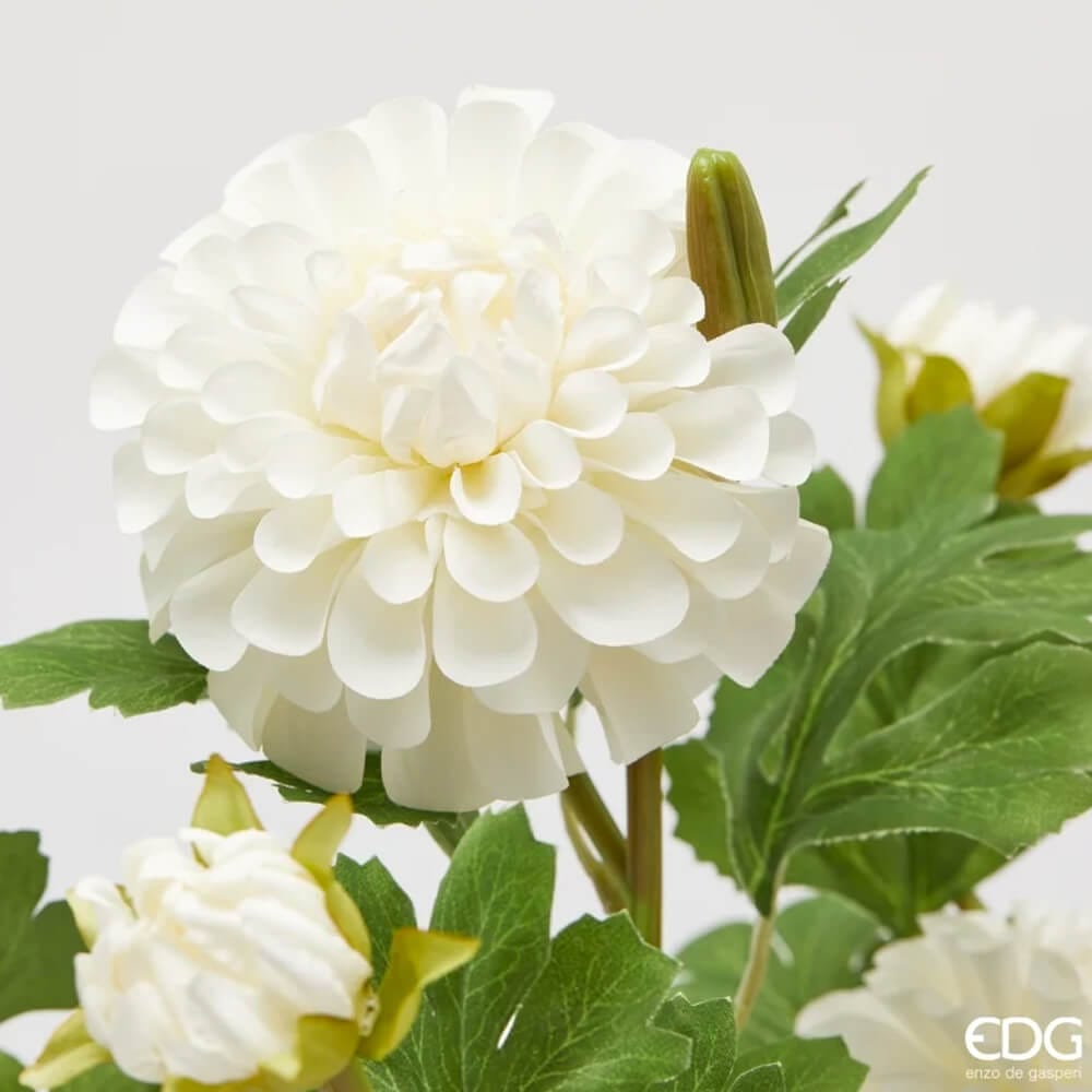 EDG Cespuglio di Dalia bianca 9 Fiori e Foglie H 55 cm - immagine 2