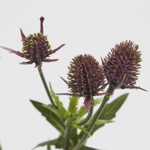 Alternative view of EDG Branche de Chardon Artificiel H 70 Violet Naturel
