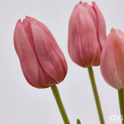 Alternative view of EDG Bouquet 5 Tulipani Rosa Antico H 40 cm