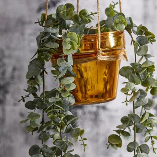 Alternative view of EDG Eucalipto Pendente Decorativo H100