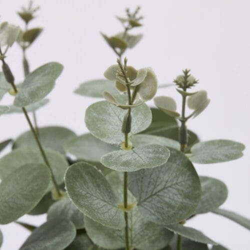 Alternative view of EDG Bouquet Décoratif Eucalyptus H60