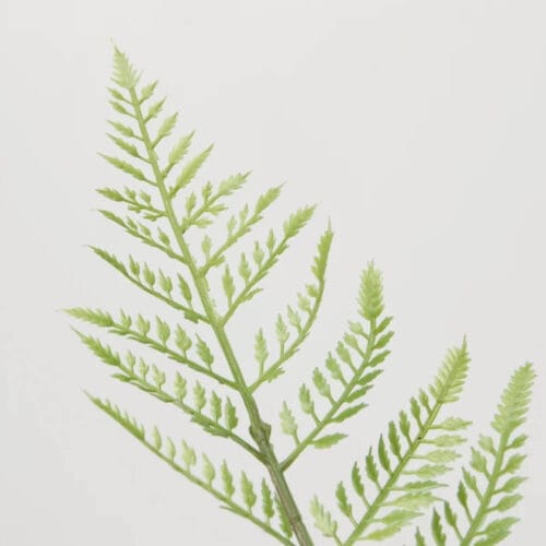 Alternative view of Fougère décorative artificielle EDG H 90 cm
